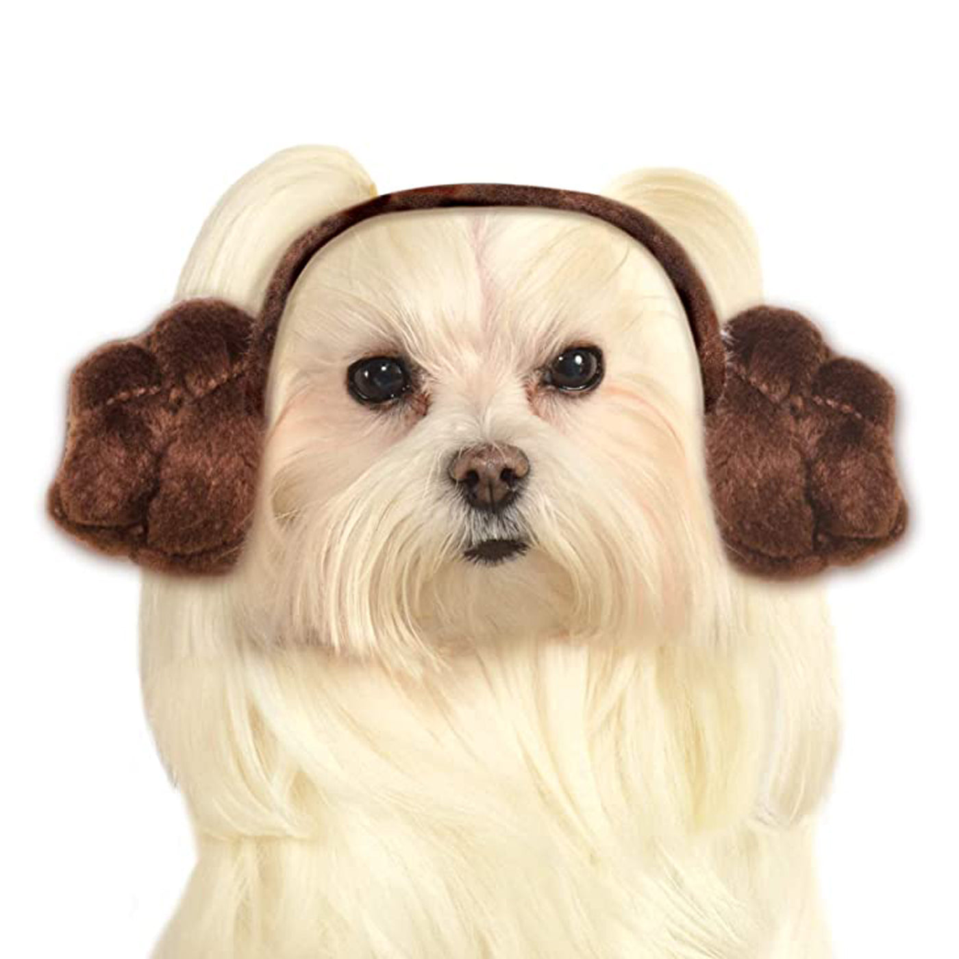 Princess Leia Buns - Pet Accessory