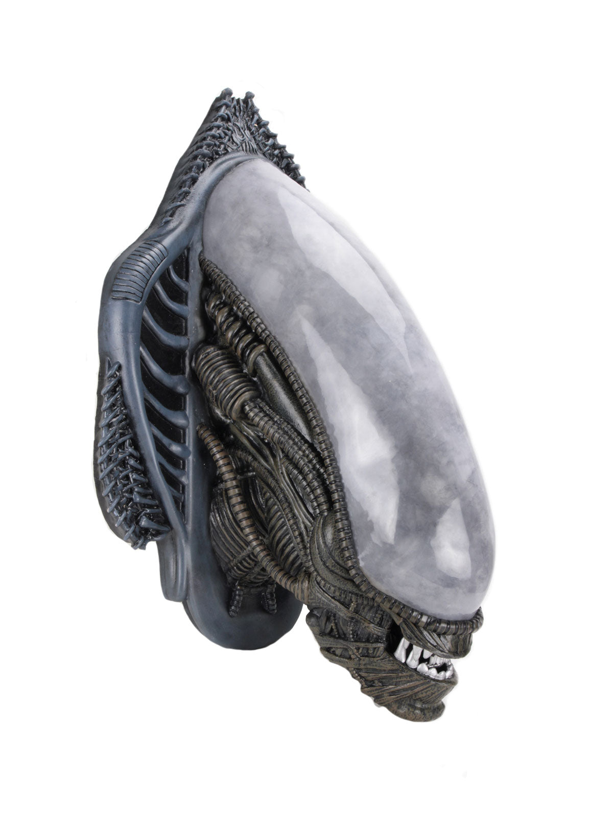 Aliens Xenomorph Wall-Mounted Bust Foam Replica