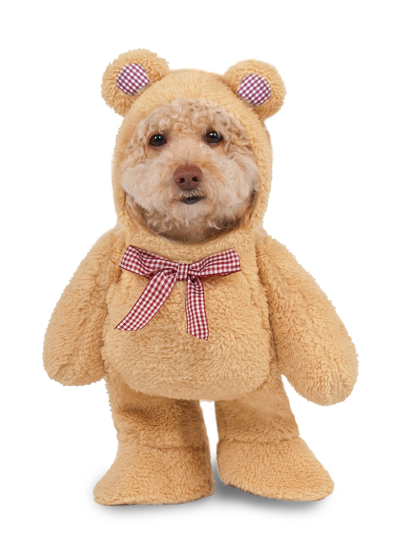 Walking Teddy Bear Costume, Pet