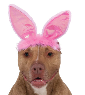 Easter Bunny Ears, Pet