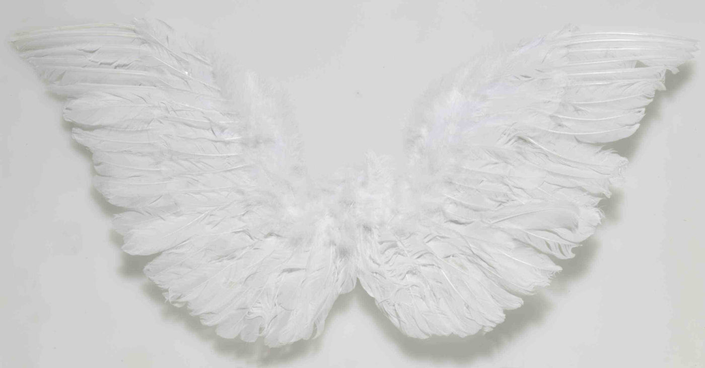 Angel Wings  - White