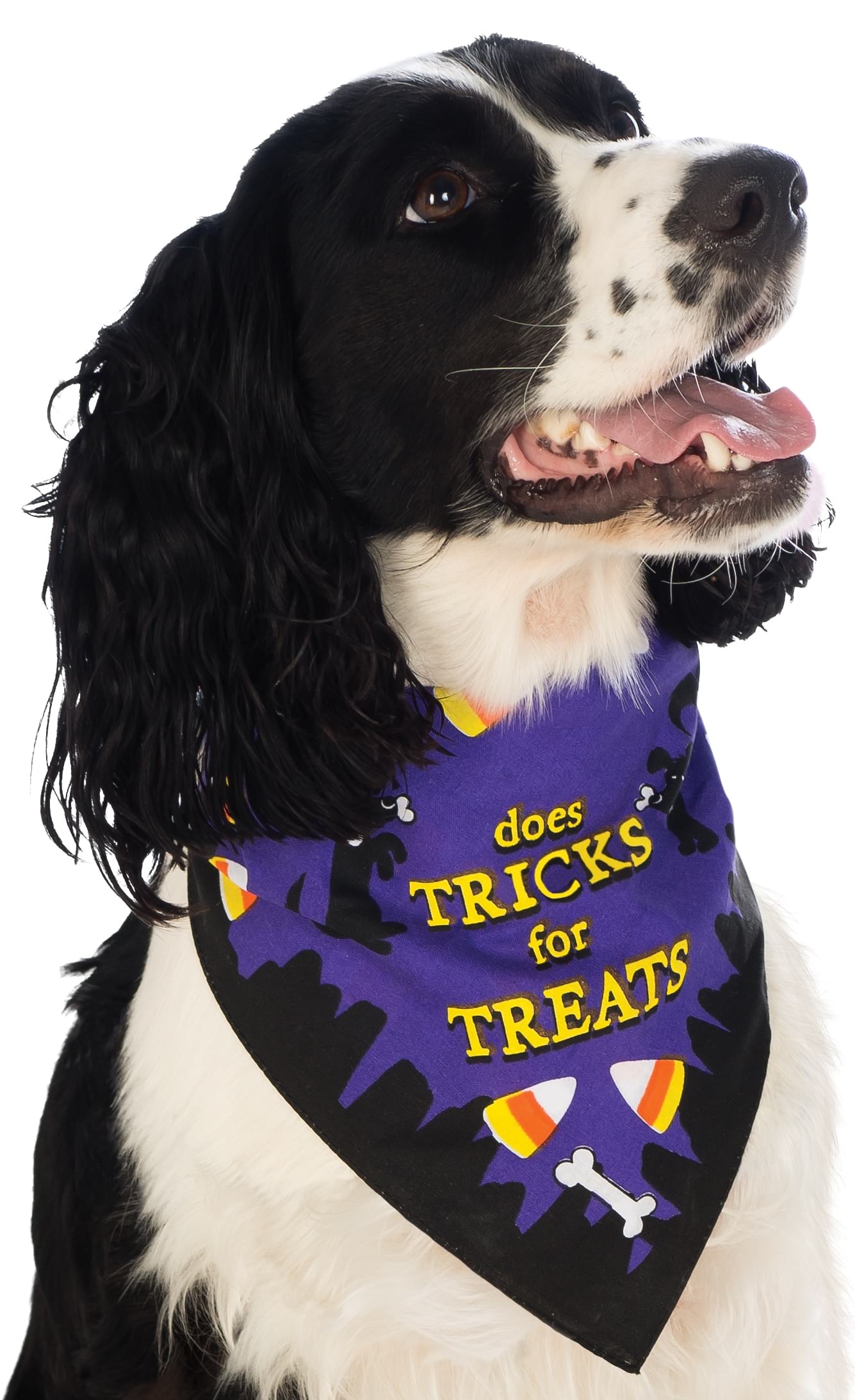 Pet Bandana 'Does Tricks For Treats