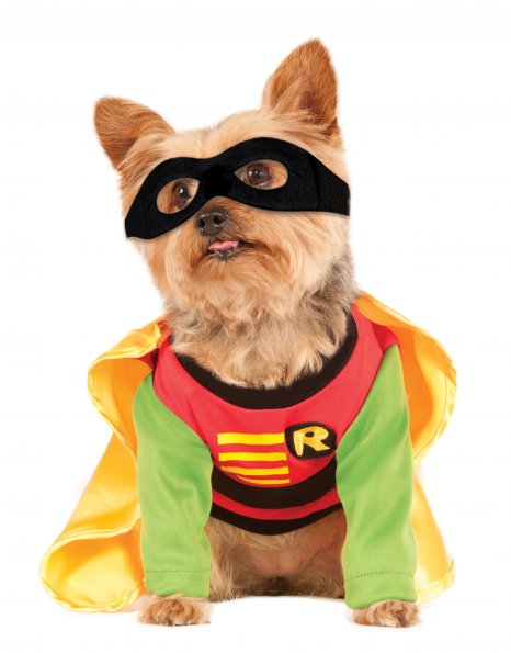 Robin Pet Costume